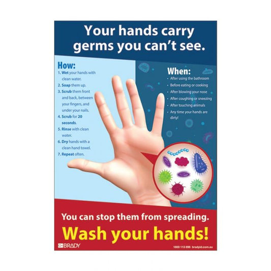 Informational Poster - How And When To Wash Your Hands