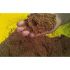10 Pack Spillfix Organic Floor Sweep All Purpose Granular Absorbent 50L Bag